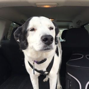 Meet your Posher, Maddy